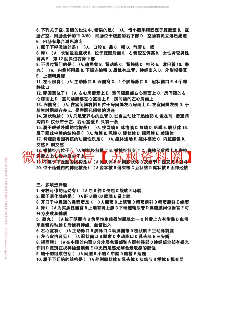 解剖学基础